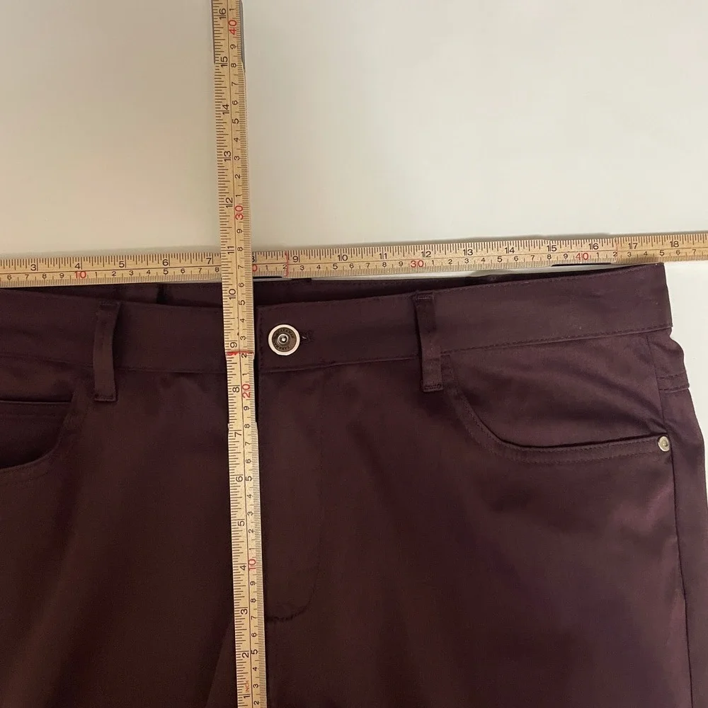 Zara Man Basic Collection Burgundy Slim Five Pocket Pants Mens USA 34 Euro Sleek